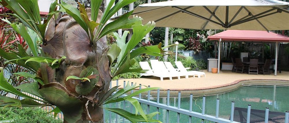 Cairns Reef Apartments & Motel Екстер'єр фото